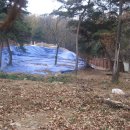 남현동-11 이미지