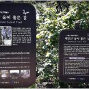 원일사 이미지
