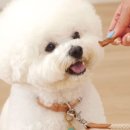 페피 밀(PEPPY MEAL) 이미지