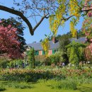 태양여인숙 | 파리 근교 지베르니 고흐 베르사유 투어 완벽 후기