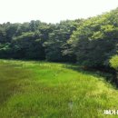 물영아리오름 이미지