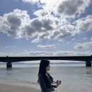 거가대교 관광안내소 | 오키나와 북부투어 버스 츄라우미수족관 만좌모 아메리칸빌리지 코우리대교 유투어버스 후기 추천이유