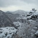 꼴랑지