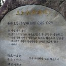 도송 Daum카페