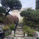 [결혼 준비] 소피소 스튜디오 웨딩촬영 셀렉 후기 (누아르 블랑 하우스 방문)