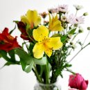 화해농장 이미지