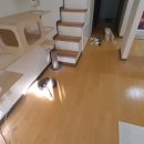 대응목장 이미지