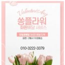 광주정품화환배달