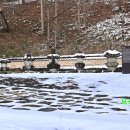 용흥사진입로 이미지