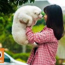 수겔러리카페펜션 이미지