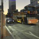 명동김밥.포차.분식.집밥.도시락 | [주간일기] 25.11.17.~23. 야르~두바이쫀득쿠키·세부 예매·남대문 그릇시장·소일베이커·정동길 산책