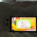 송이 아시아마트 | 11월의 워릭 워홀러 일상 (호주로 컴백 / 입스위치 코스트코 / 써니뱅크 나들이)