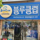 블루클럽 Daum카페