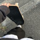 풍년파크장 | 일본 워킹홀리데이 하다가 한국귀국?