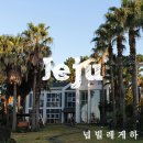 넙빌레스토리 | 2014 제주, 넙빌레게스트하우스, 서귀포 게스트하우스 추천!