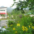 하얀마을펜션 이미지