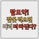 부전빌딩(동진식품) | 탈모약 종류, 진짜 효과 있는 건 따로 있다? 복용법부터 부작용까지 (2025)