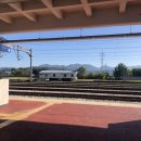 엠엠피아이(주) 이미지