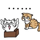 로씨일가