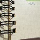 만년필 노트 롤반 후기｜일본 문구 덕후들의 스테디셀러인 이유