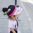 의정부민락동 고양이카페 냥스 다녀온후기