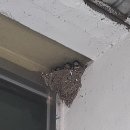 덕산장모텔 이미지