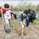 희망나무심기2 이미지