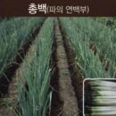 (주) 도인