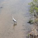 예당호느린호수길 이미지