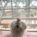 바다이야기펜션 이미지