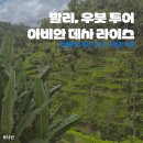 [인도네시아/발리/우붓] 뜨갈랄랑 말고 여기! 우붓 아비안 데사 라이스 테라스 입장료, 투어 후기