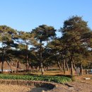 계현2구 이미지