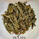 강서1통 이미지