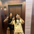 호치민 여행기 3탄 (마제스틱사이공 조식 수영장 롯데마트7군 퍼 호아 파스퇴르 중앙 우체국 노트르담...