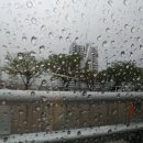 신천대로 이미지