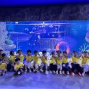 🪼현장체험학습 - SEA LIFE_아쿠아리움🪼 이미지