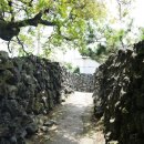 금성리 농로 1 | 설문대할망·오백장군 형상 거석 숨쉬고 섬사람 피눈물 밴 4·3성담