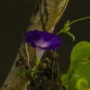 기차길옆 이미지