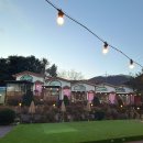 포포애견펜션 | 포천 애견 동반 펜션 여름에는 수영장, 겨울에는 찜질방 포포애견펜션