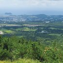 떠도는섬들 이미지