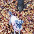 여월프라자 이미지