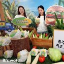 창녕화이트유통