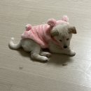 관악동물종합병원 이미지