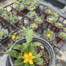 오공농장 이미지