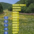 이박목장 Daum카페