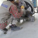 세미식품