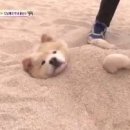 정신상회 이미지