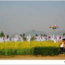 한강시민공원 이미지