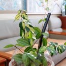 흥대회관 이미지