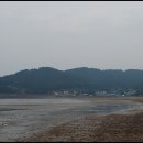 오들길 Daum카페